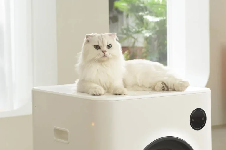 automatic self cleaning litter tray